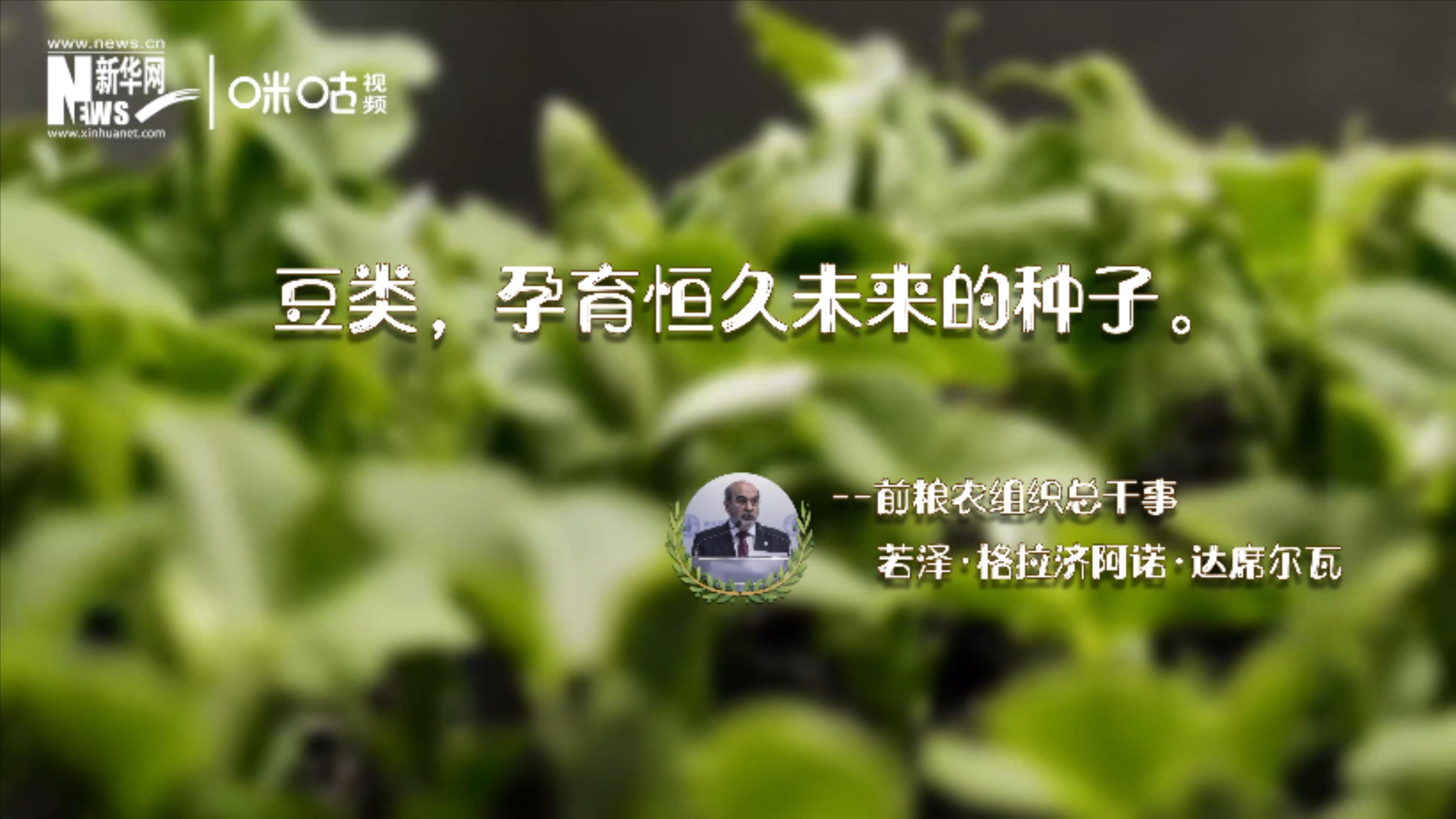 豆類，孕育恒久未來(lái)的種子