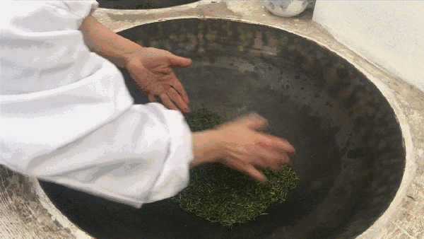 申遺，把雨花茶手藝傳承下去