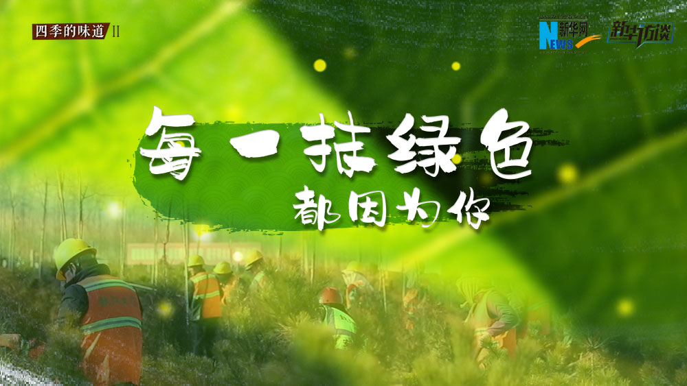千年秀林，每一抹綠色都因?yàn)槟? /></p>
<p class=