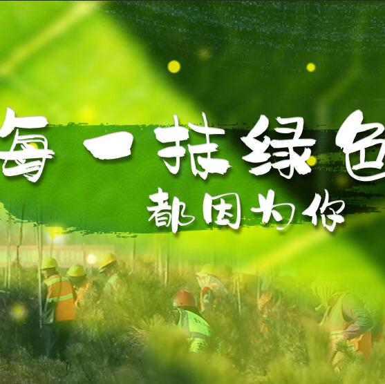 千年秀林，每一抹綠色都因?yàn)槟? /></a>       
<div   id=