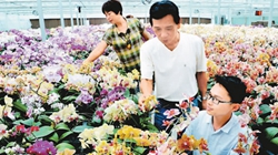 臺(tái)商眼中的改革開放：風(fēng)景這邊獨(dú)好 要去，要去，要去！