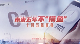 未來五年，不“摸魚”