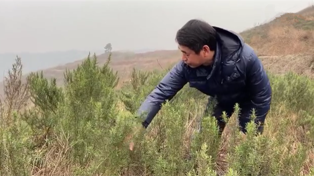 新春走基層｜脫貧后，駐村扶貧隊長在干啥？