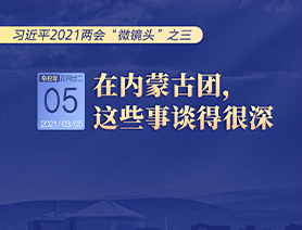 習(xí)近平2021兩會“微鏡頭”之三 3月5日 在內(nèi)蒙古團(tuán)，這些事談得很深