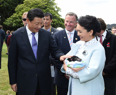 11月18日，國(guó)家主席習(xí)近平在澳大利亞塔斯馬尼亞州與朗塞斯頓市斯科奇－歐克伯恩小學(xué)的小學(xué)生共同植樹(shù)。這是習(xí)近平和夫人彭麗媛植樹(shù)后撫摸袋獾。新華社記者 馬占成 攝