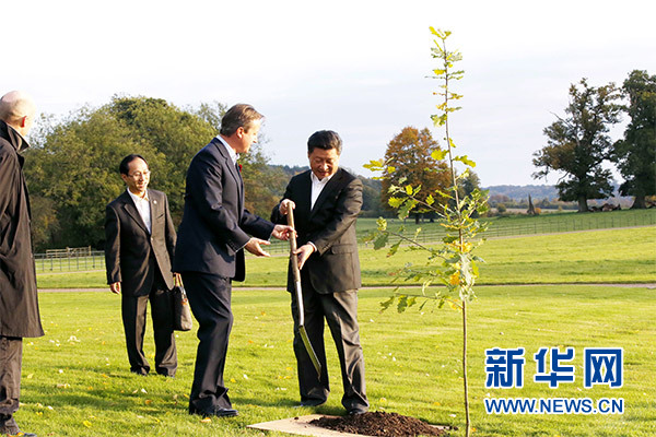 兩國領(lǐng)導(dǎo)人一同在別墅草坪，共同種下象征中英友誼的橡樹。新華社記者 鞠鵬 攝